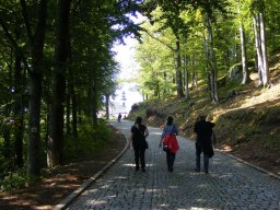 I Rajd na Marię Śnieżną